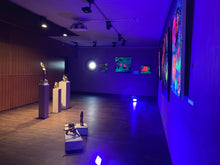 Load image into Gallery viewer, HANGING GARDEN_ „GOLD STRATEGY“