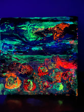 Load image into Gallery viewer, HANGING GARDEN_  „WHAT‘S HAPPEND NOW“