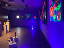 Load image into Gallery viewer, HANGING GARDEN_ „FLOWER BRIDGE“